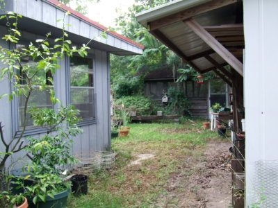 right side of house to potting shed